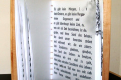 1_dscf7225_thomas-wittezeitbu